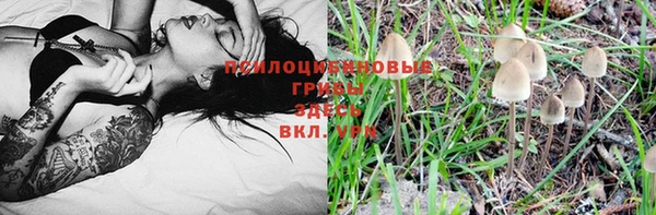 a pvp Саяногорск