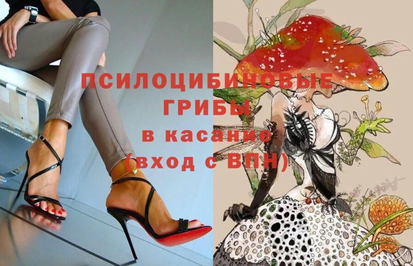 spice Бронницы