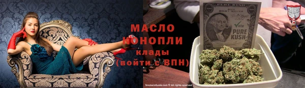 сатива Сатка